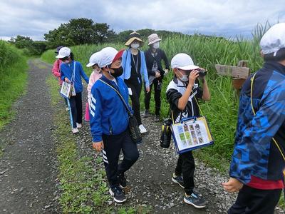 ずいぶん草丈が伸びたなあ